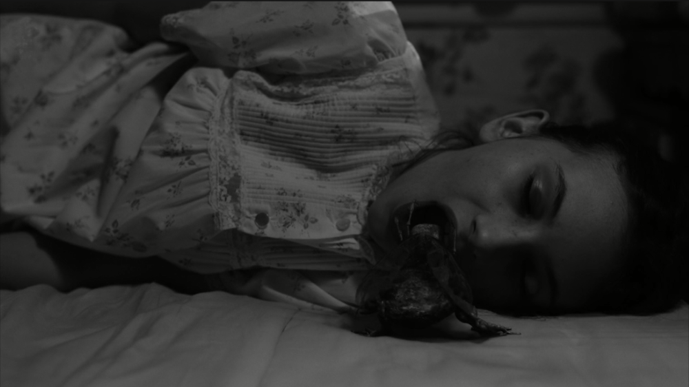 david lynch - twin peaks : the return